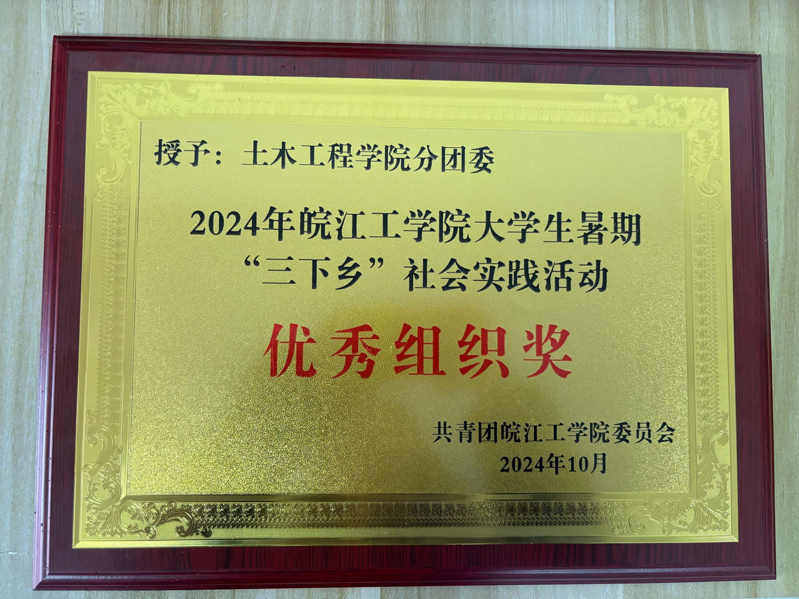 <strong>土木工程学院分团委荣获2024年beat365唯一官网大学生暑期“三下乡”优秀组织奖</strong>